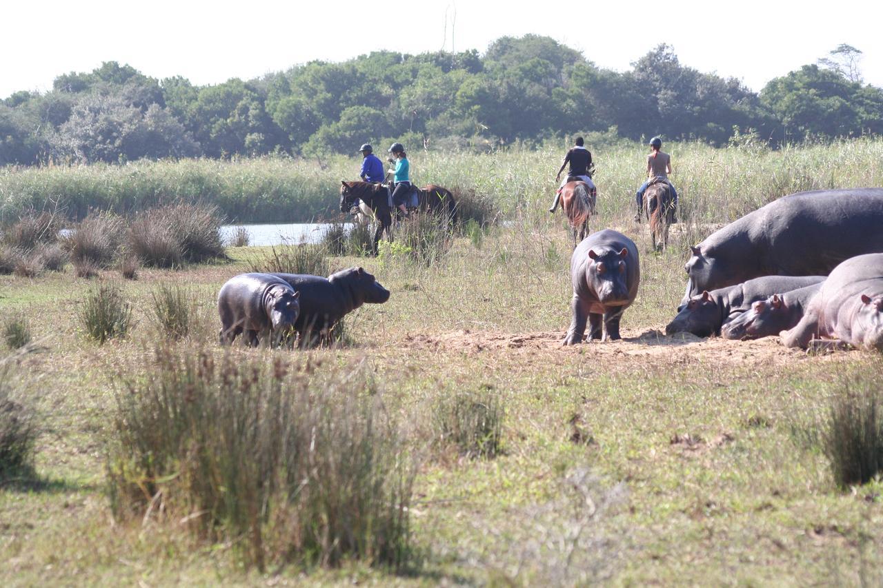 Lodge Afrique Сент-Люсия Экстерьер фото