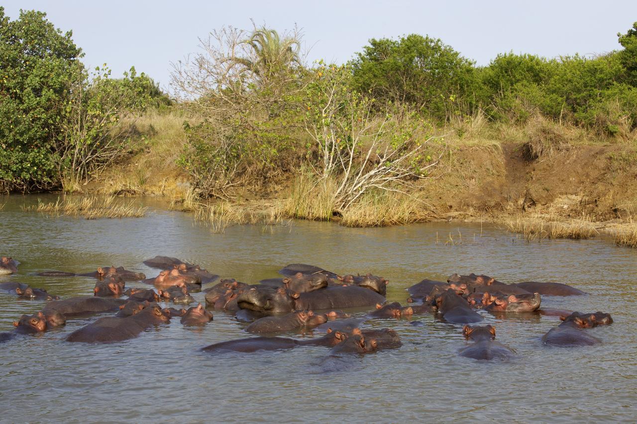 Lodge Afrique Сент-Люсия Экстерьер фото